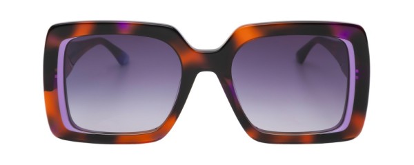 HARDY - Purple Tortoise by Urban Owl
